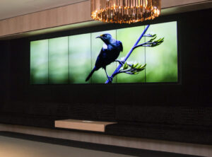 DELOITTE Reception Videowall, Video Wall Solution